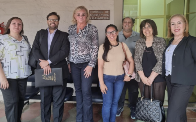 Boletín Informativo Abril, Mayo y Junio 2026